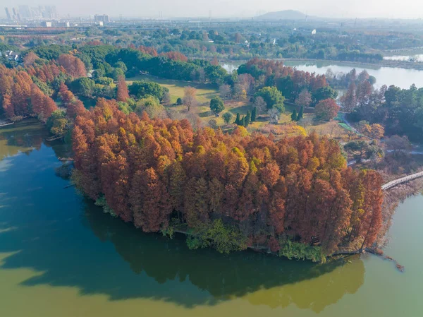 Hubei Wuhan East Lake Scenic Area Késő Őszi Táj — Stock Fotó