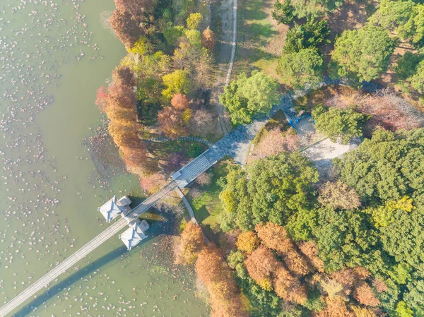 Hubei Wuhan East Lake Scenic Area Late Herfst Landschap — Stockfoto