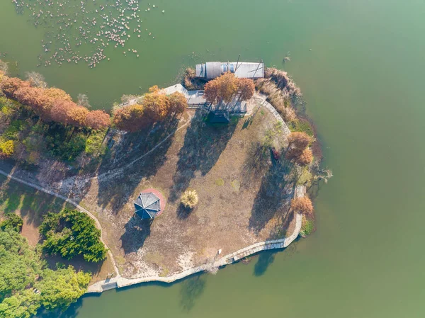 Hubei Wuhan Doğu Gölü Sahnesi Sonbahar Sonbaharı Sahnesi