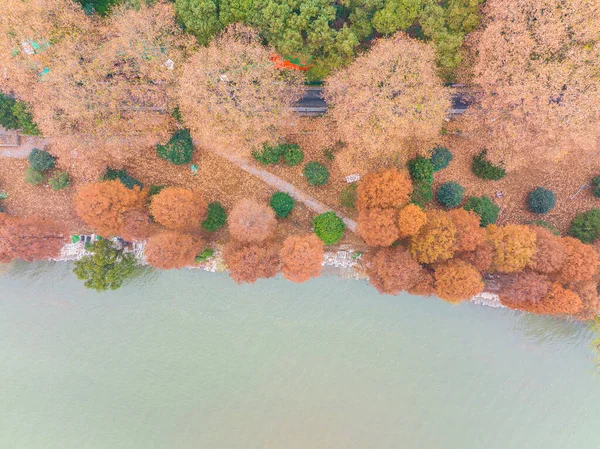 Hubei Wuhan East Lake Scenic Area Late Autumn Scenery — стокове фото