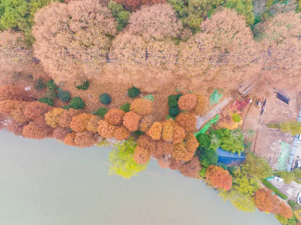 湖北武漢東湖風景区晩秋の風景 — ストック写真