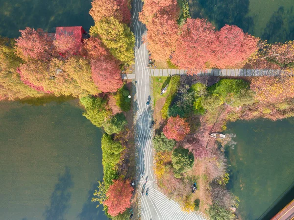 Хубэй Ухань Восточное Озеро Пейзаж Поздней Осени — стоковое фото