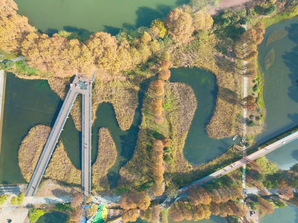 Hubei Wuhan East Lake Scenic Area Late Autumn Scenery — 스톡 사진