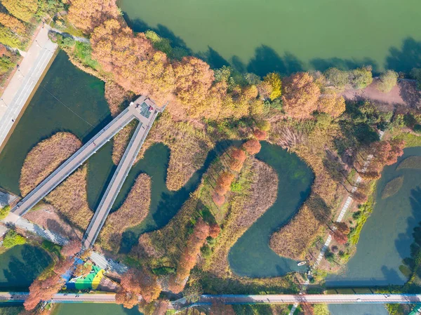 Hubei Wuhan East Lake Scenic Area Senhösten Landskap — Stockfoto