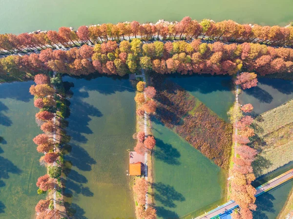Hubei Wuhan East Lake Escenic Área Paisajes Otoño Tardío — Foto de Stock