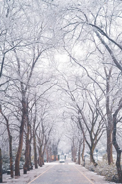 Зимняя Сцена Снега Мошане Восточное Озеро Ухань Хубэй — стоковое фото