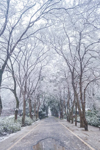 Wintersneeuw Scene Moshan Scenic Area East Lake Wuhan Hubei — Stockfoto
