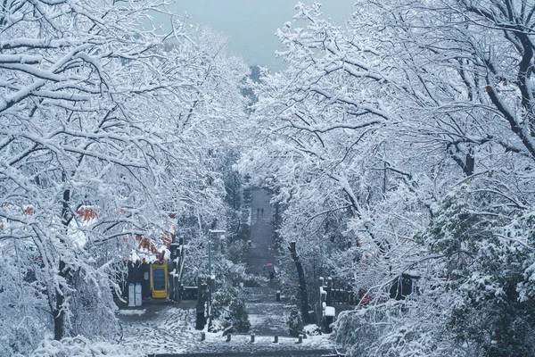 Cena Neve Inverno Moshan Scenic Area East Lake Wuhan Hubei — Fotografia de Stock