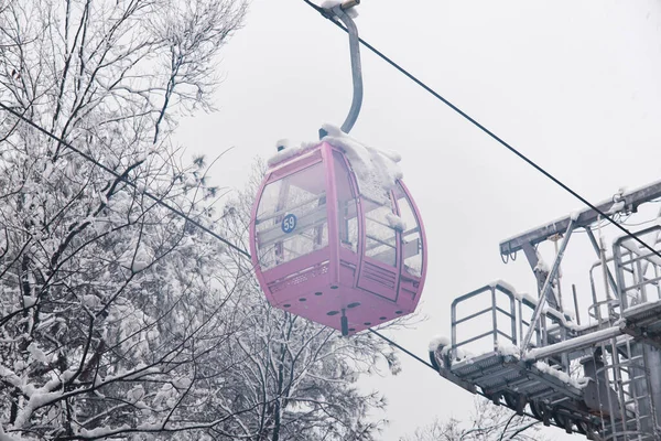 Scène Neige Hivernale Moshan Scenic Area East Lake Wuhan Hubei — Photo