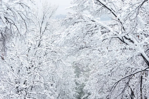 湖北武汉市东湖莫山风景区冬季雪景 — 图库照片