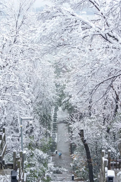 Escena Nieve Invierno Área Escénica Moshan East Lake Wuhan Hubei — Foto de Stock