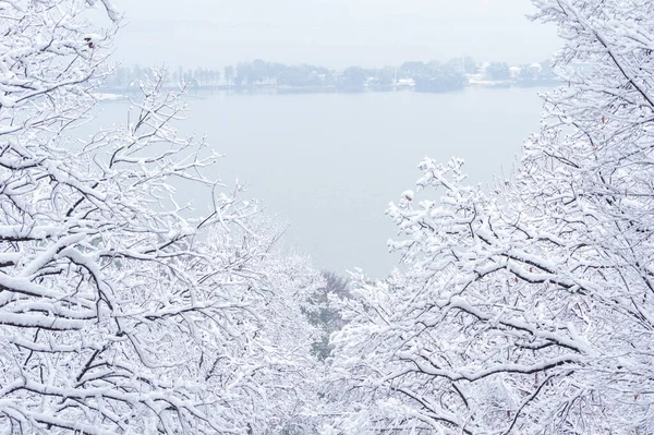 Moshan Sahne Bölgesi Doğu Gölü Wuhan Hubei Kış Kar Manzarası — Stok fotoğraf
