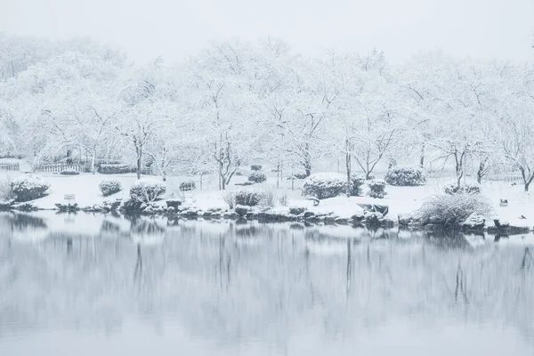 Winter Snow Scenery Cherry Blosam Garden East Lake Scenic Area — 스톡 사진