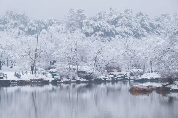 Inverno Scenario Neve Cherry Blossom Garden East Lake Scenic Area — Foto Stock