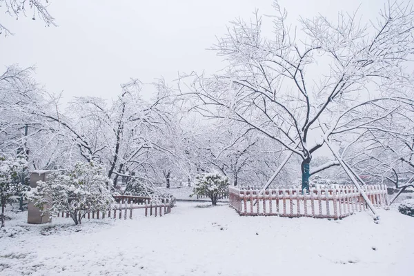 Winter Schneelandschaft Kirschblütengarten East Lake Scenic Area Wuhan Hubei — Stockfoto