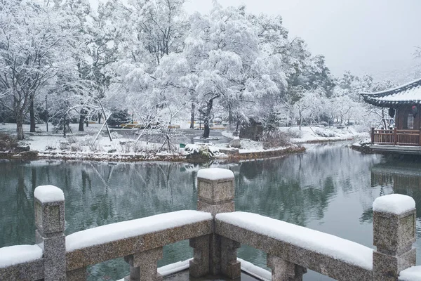 湖北武汉市东湖风景区樱花花园冬季雪景 — 图库照片
