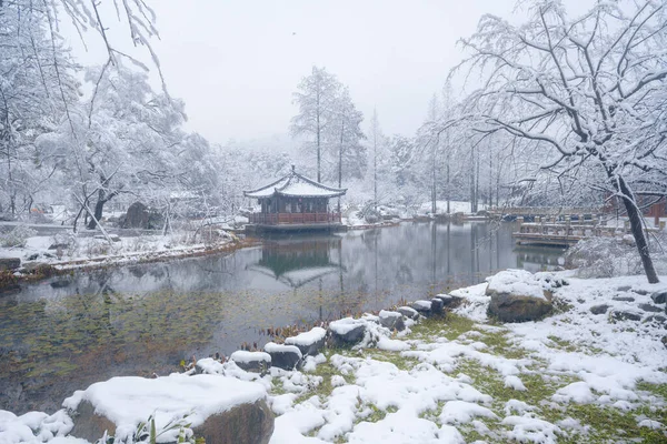 Téli Táj Cseresznyevirág Kert East Lake Scenic Area Wuhan Hubei — Stock Fotó