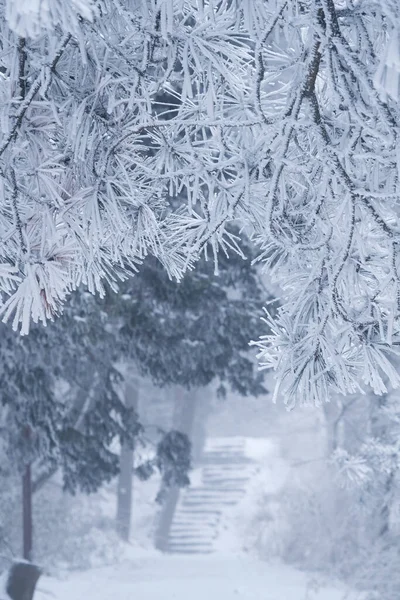 Winterschneeszene Der Landschaft Lushan Stadt Jiujiang Provinz Jiangxi — Stockfoto