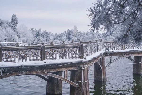 Cena Neve Inverno Lushan Scenic Area Cidade Jiujiang Província Jiangxi — Fotografia de Stock