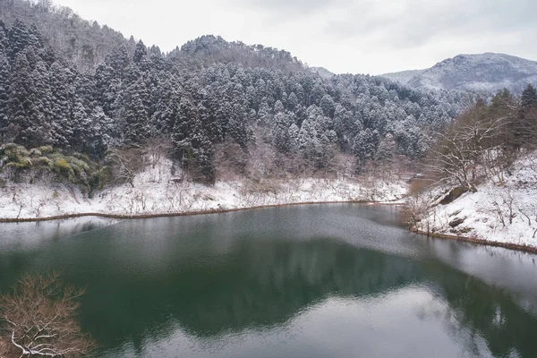 Winter Snow Scene Lushan Scenic Area Jiujiang City Jiangxi Province — Stock Photo, Image