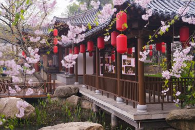 Doğu Gölü Sahnesi, Wuhan Şehri, Hubei Eyaleti 'nde Kiraz Çiçeği Bahçesi Erken Bahar Sahnesi