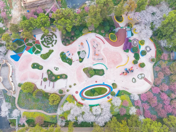 Doğu Gölü Sahnesi, Wuhan Şehri, Hubei Eyaleti 'nde Kiraz Çiçeği Bahçesi Erken Bahar Sahnesi