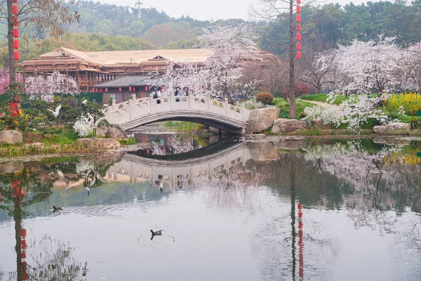Doğu Gölü Sahnesi, Wuhan Şehri, Hubei Eyaleti 'nde Kiraz Çiçeği Bahçesi Erken Bahar Sahnesi