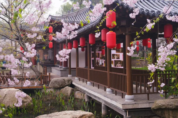 Doğu Gölü Sahnesi, Wuhan Şehri, Hubei Eyaleti 'nde Kiraz Çiçeği Bahçesi Erken Bahar Sahnesi