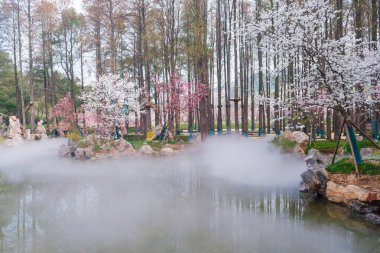 Doğu Gölü Sahnesi, Wuhan Şehri, Hubei Eyaleti 'nde Kiraz Çiçeği Bahçesi Erken Bahar Sahnesi