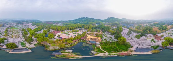 Early Spring Scenery Cherry Blossom Garden East Lake Scenic Area — Fotografia de Stock