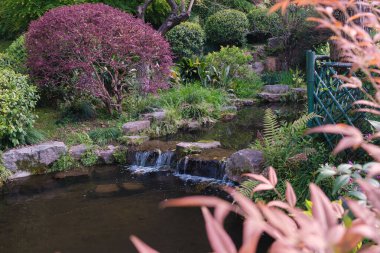 Spring scenery of Yellow Crane Tower Park in Wuhan, Hubei
