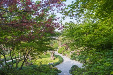 Hubei, Wuhan 'daki Sarı Turna Kulesi Parkı' nın bahar manzarası.