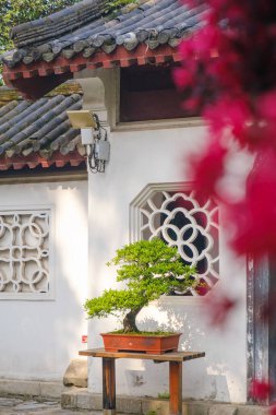 Hubei, Wuhan 'daki Sarı Turna Kulesi Parkı' nın bahar manzarası.