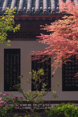 Hubei, Wuhan 'daki Sarı Turna Kulesi Parkı' nın bahar manzarası.