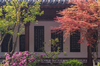 Hubei, Wuhan 'daki Sarı Turna Kulesi Parkı' nın bahar manzarası.