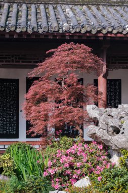 Spring scenery of Yellow Crane Tower Park in Wuhan, Hubei