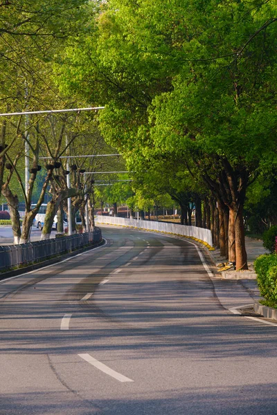 Spring Scenery Yellow Crane Tower Park Wuhan Hubei — ストック写真