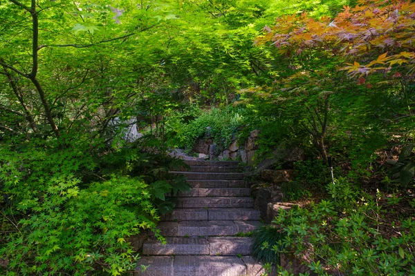 Весенний Пейзаж Парка Желтая Башня Журавля Ухане Хубэй — стоковое фото