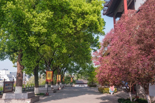 Paesaggio Primaverile Del Parco Della Gru Gialla Wuhan Hubei — Foto Stock