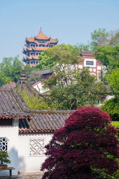 Hubei, Wuhan 'daki Sarı Turna Kulesi Parkı' nın bahar manzarası.