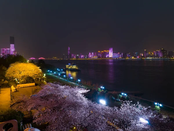 Kwiaty Wiśni Kwitną Qingchuange Scenic Spot Wuhan Hubei — Zdjęcie stockowe