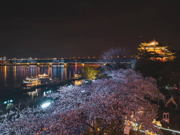 Cherry Blossoms Bloom Qingchuange Scenic Spot Wuhan Hubei — стоковое фото