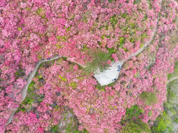 Wiosenna Sceneria Huangpi Mulan Yunwu Mountain Wuhan Hubei — Zdjęcie stockowe
