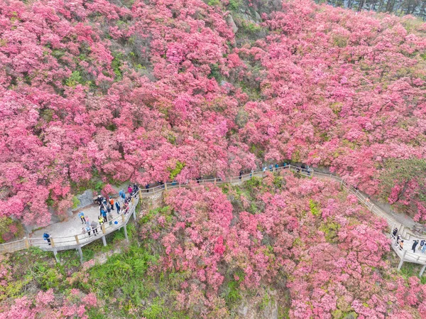 Paisajes Primavera Montaña Huangpi Mulan Yunwu Wuhan Hubei — Foto de Stock