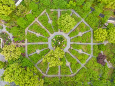 Wuhan, Hubei 'deki Doğu Gölü Sahne Bölgesi Bahar Manzarası