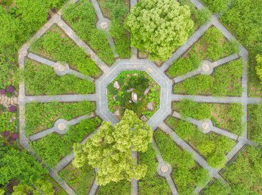 Wuhan, Hubei 'deki Doğu Gölü Sahne Bölgesi Bahar Manzarası