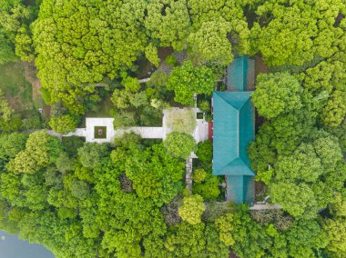 Wuhan, Hubei 'deki Doğu Gölü Sahne Bölgesi Bahar Manzarası