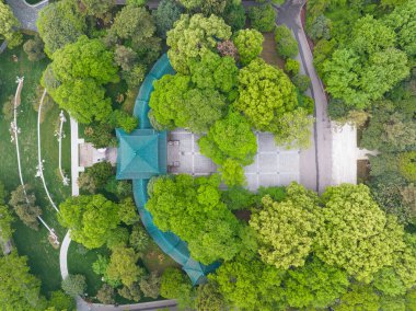 Wuhan, Hubei 'deki Doğu Gölü Sahne Bölgesi Bahar Manzarası