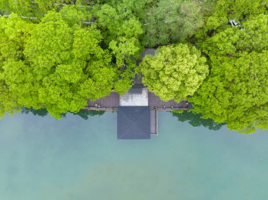 Wuhan, Hubei 'deki Doğu Gölü Sahne Bölgesi Bahar Manzarası