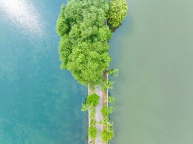 Spring scenery of East Lake Scenic Area in Wuhan, Hubei